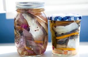 pickled-herring